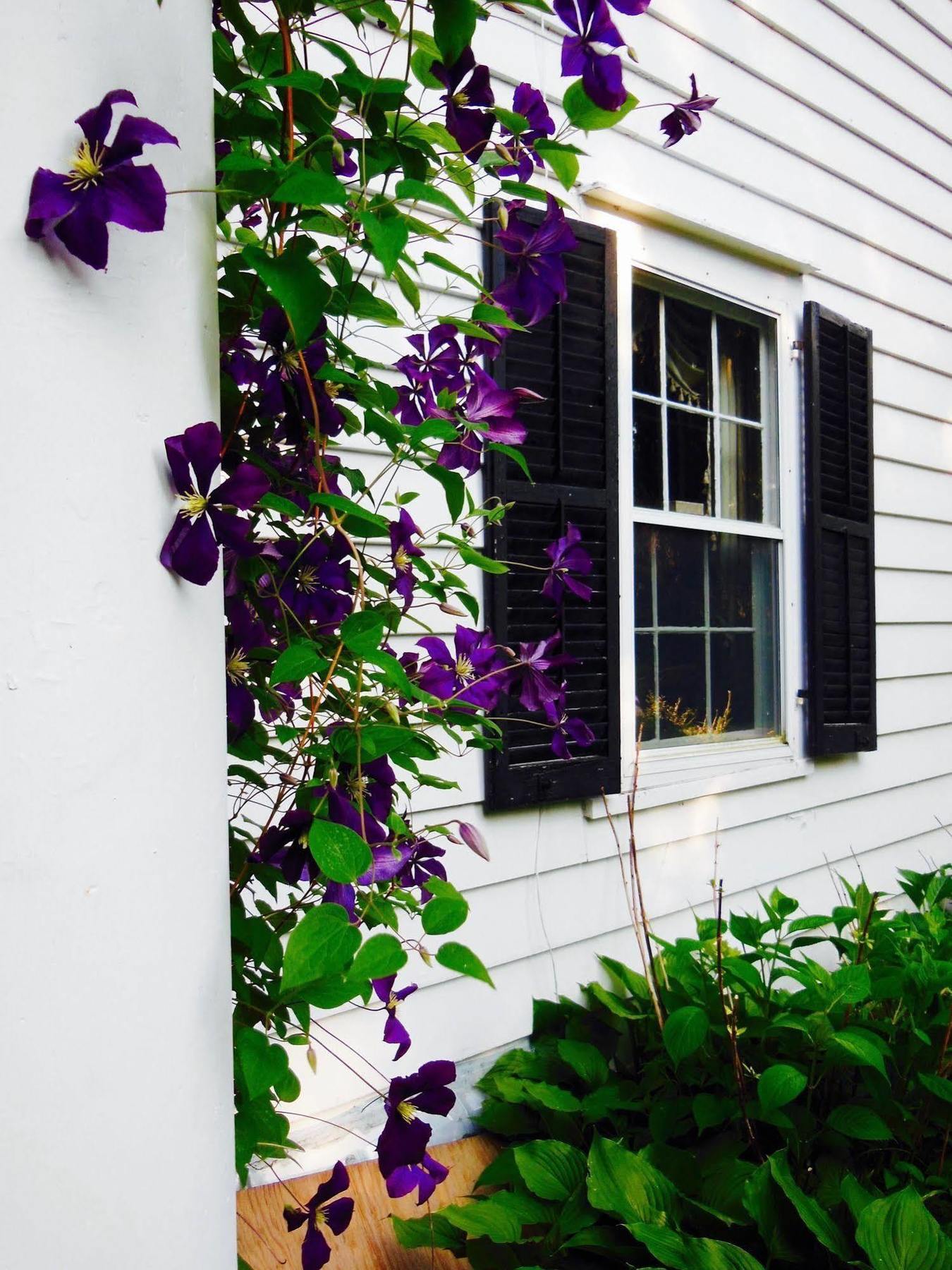 Millbrook Country House Esterno foto