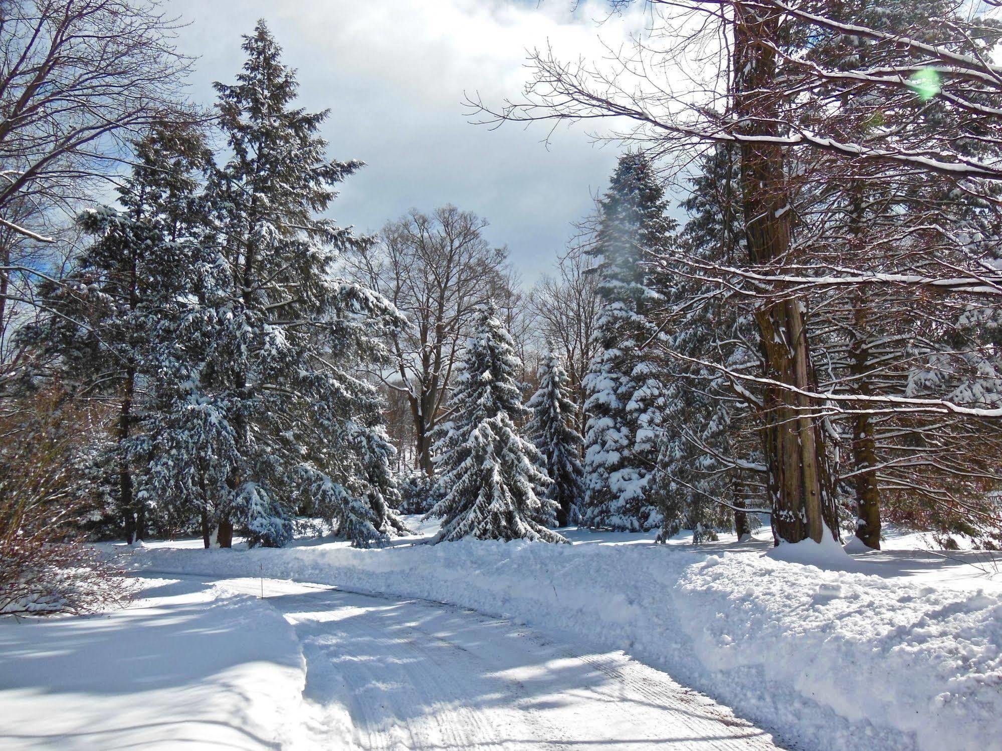 Millbrook Country House Esterno foto